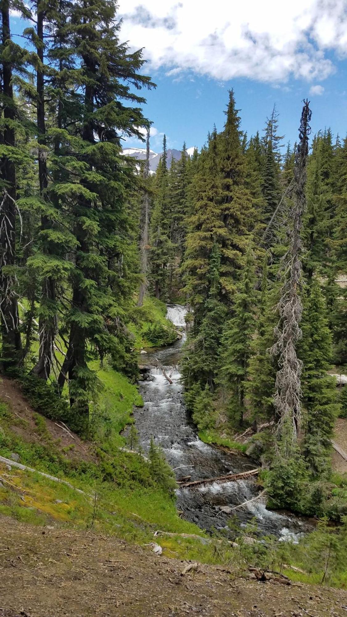 Mt. Bachelor & Sun River Get Away 벤드 외부 사진